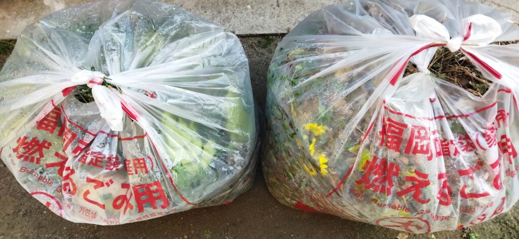 福岡市で剪定枝 剪定ゴミ を処分する方法とその料金