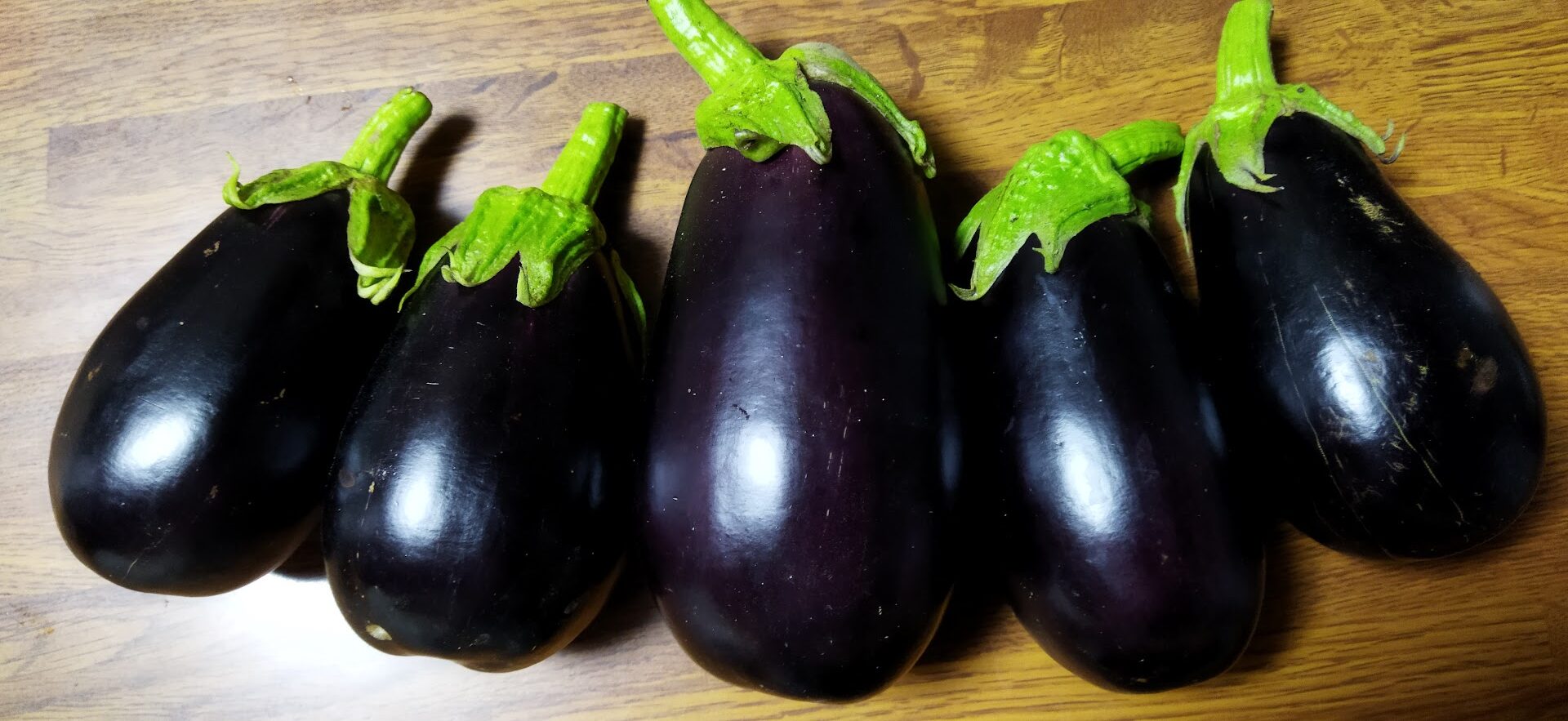 米ナス べいなす の丸い形が可愛いので育ててみました