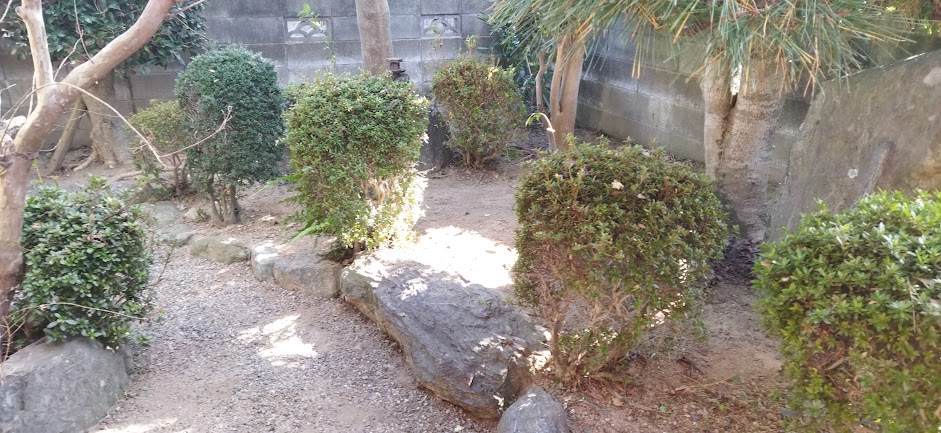 草取りを楽にする方法と手順