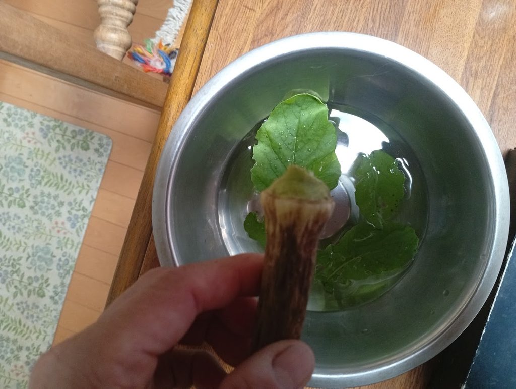 へたを落とすと
